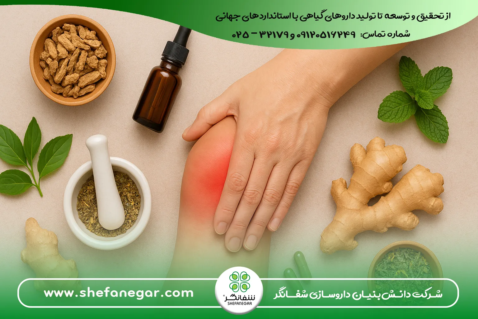 کاهش-درد-مفاصل-ها-و-عضلات-شفانگر